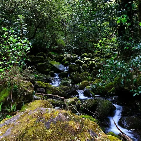 Casa Nunes Сантана